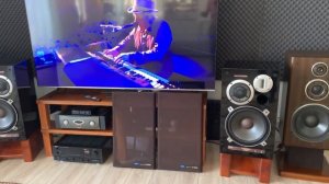 Прекрасные Pioneer S-9500