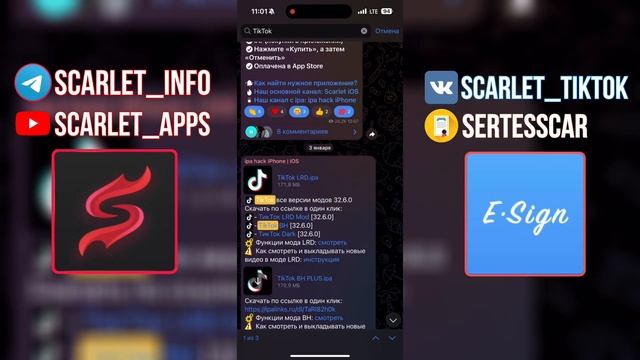 Смартфоны под лупой