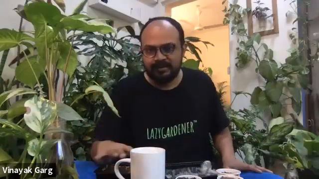 Day 3 | #21DaysWithLazy - Propagation Basics And More