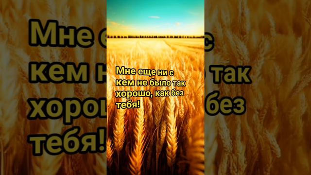 думаю больше мудрость чем юмор