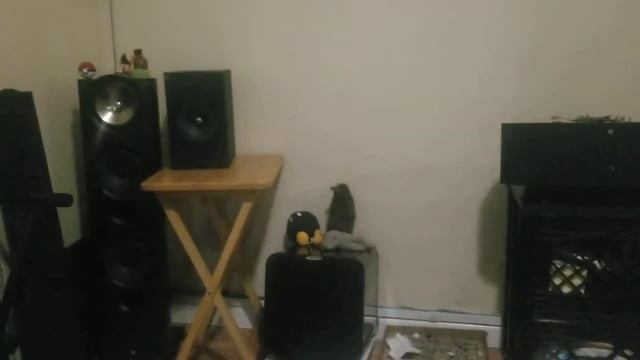 KEF Iq9 Versus Q150 Kef Sure Do Sound Like KEF.