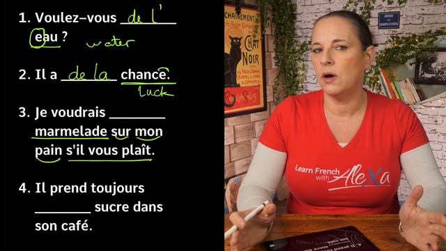 Practise your French Partitive Articles: DU, DE LA, DE L' & DES смотреть онлайн