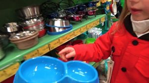 Наш питомец Маленький КОТЁНОК выбираем Домик и Кличку для кота ВЛОГ