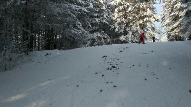 Катаемся на новых Salomon s/race jr, Atomic s7 junior. Тренировка с детьми. смотреть онлайн