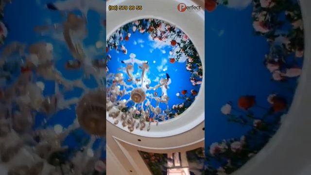 sifat va ranglar uygunligi. #натяжныепотолки #ургенч #хоразм #лайки #потолок #просмотры #лайк смотреть онлайн