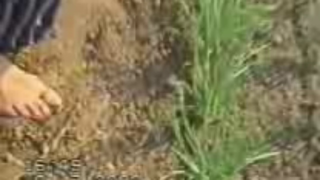  Землетворение. Обработка без техники. смотреть онлайн