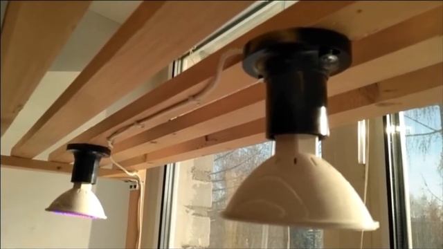 Стеллаж для рассады на подоконнике своими руками смотреть онлайн