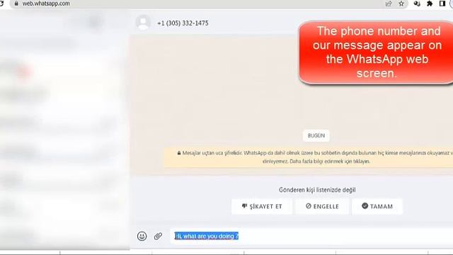 Send WhatsApp Message From Excel Address Book смотреть онлайн