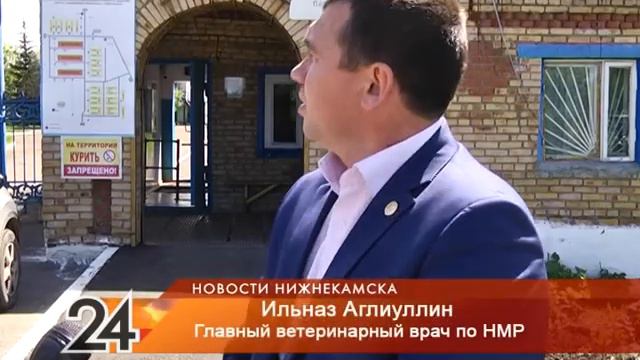 Птичий грипп смотреть онлайн