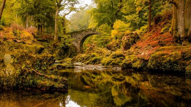 Свекровь продала свою дачу, а теперь командует на нашей. Истории из жизни