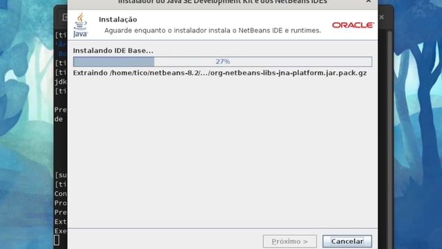 Linux Fedora. Instalação do JDK+NetBeans e Executando Aplicativos .jar смотреть онлайн