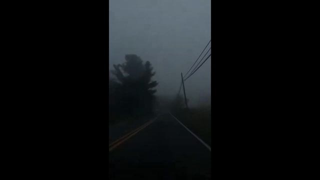 Красивые виды и морские обитатели смотреть онлайн