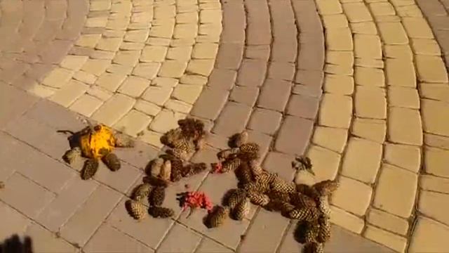 "Осенние фантазии" в кружке "Умелые ручки". смотреть онлайн