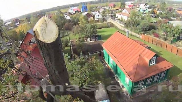 Удаление ветвистой липы рядом с проводами в Мытищинском районе МО.