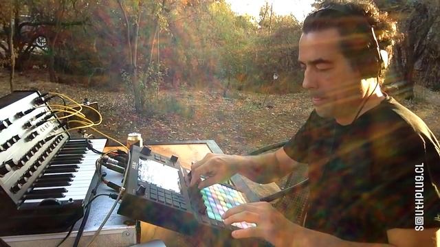 Fiat 600 - Live (2020)