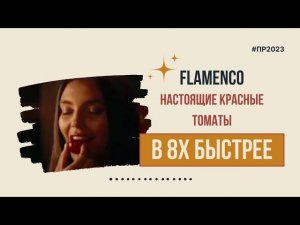 Flamenco — «Настоящие красные томаты» в 8х быстрее | PRO Рекламу