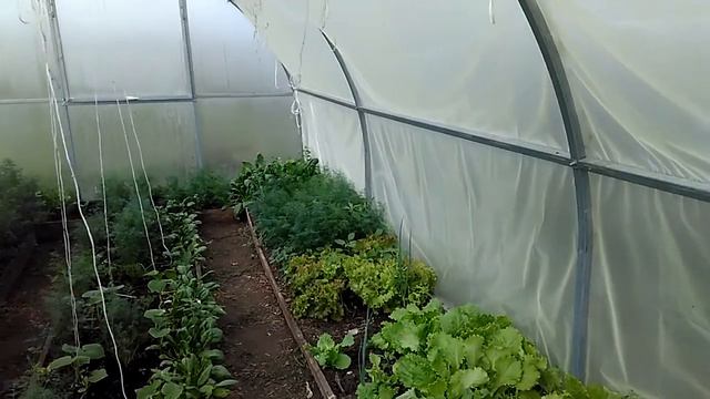 Завтрак.Омлет ,,весна,,🌱🌱🌱😋😋 смотреть онлайн