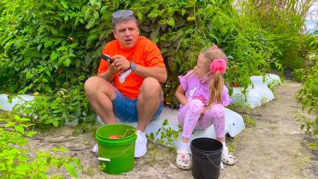 Nastya and dad pick vegetables and strawberries on the farm for mom смотреть онлайн