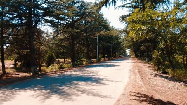 [No.4] *** Toyota Vitz RS ***