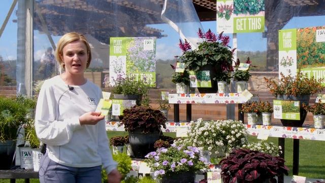 Plant This, Get This Retailing Concept смотреть онлайн