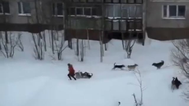 Skyrim!Смотреть всем!Ржака!Угар!2016!funy videos! смотреть онлайн