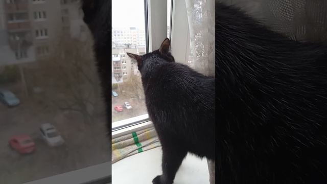 с новым годом смотреть онлайн
