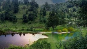 Занятие 22. Российская Армия