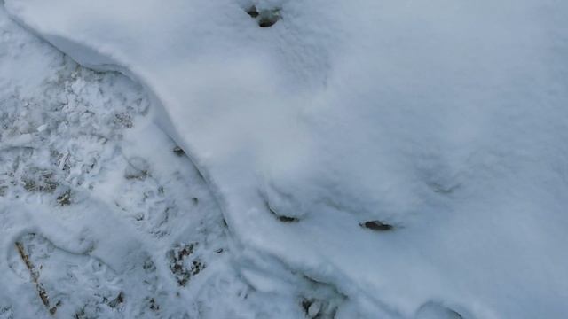 НОВЫЙ бампер на ГРАНТОЗАВРА?Black Style салона??✊ смотреть онлайн