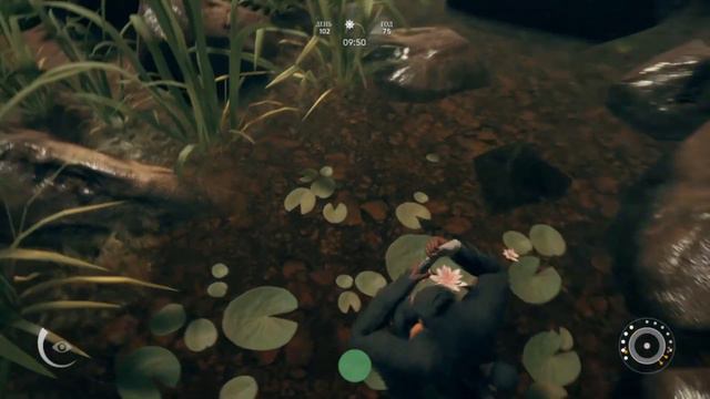 Ancestors The Humankind Odyssey CHAPTER 2 PART#2 Тигровый салат смотреть онлайн
