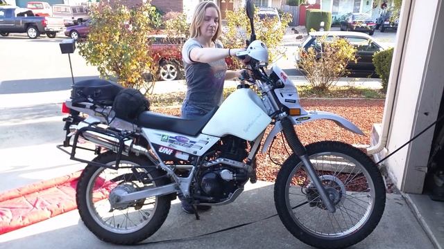 XT225 Delkevic 14 Inch Oval Exhaust смотреть онлайн