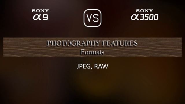 Sony A9 vs. Sony A3500: A Comparison of Specifications смотреть онлайн