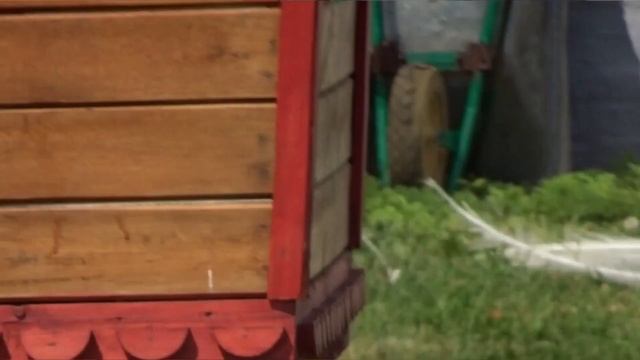 Николо-Пешношский монастырь.09.06.19 смотреть онлайн