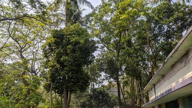 GCam 7.3 Mod Apk for Redmi Note 7 Pro | Astro Mode | Portrait | 60FPS ? смотреть онлайн