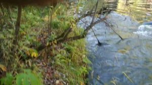 Рыбалка в Иркутской области, река Ушакова, проверочный выезд этой осенью 15.09.2021