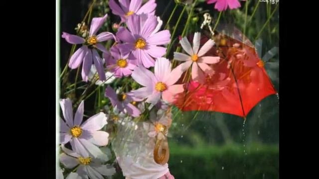 Июнь Июльевич Август смотреть онлайн