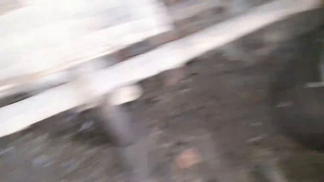 Вывелись индоутята/Гусята/Цыплята/Кролики крольчата/Индоутки/Остался один ингредиент для комбикорма смотреть онлайн