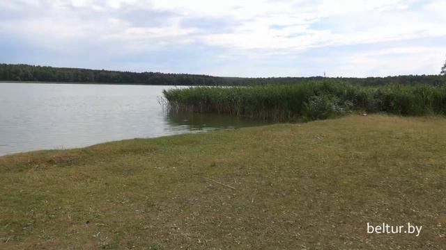 База отдыха Лесное озеро - пляж, Отдых в Беларуси смотреть онлайн