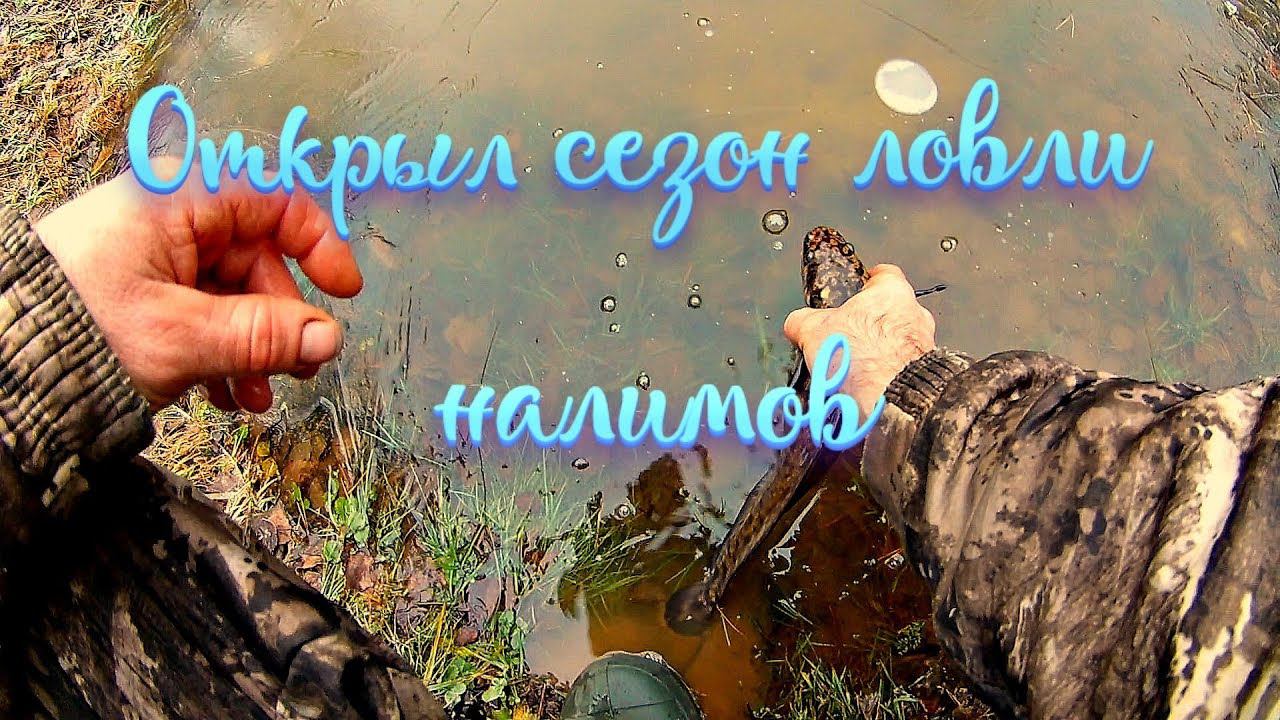 Поставил поставушки на ночь. Открыл сезон по ловле налимов.Атака щуки. Отпускаю рыбу смотреть онлайн