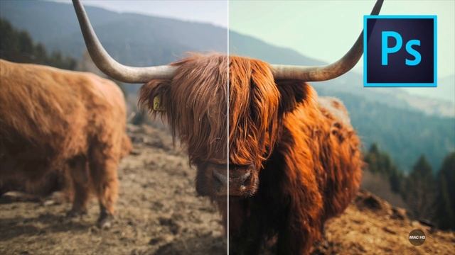 #1 photoshop cc 2018 ba kurdi فێربونی فۆتۆشۆپ به كوردی смотреть онлайн