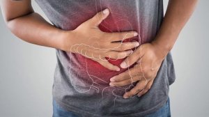 Киви | Польза и вред фрукта для организма