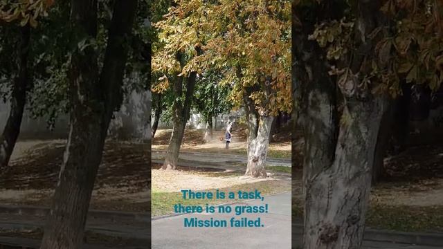 There is a task, there is no grass! Mission failed. смотреть онлайн