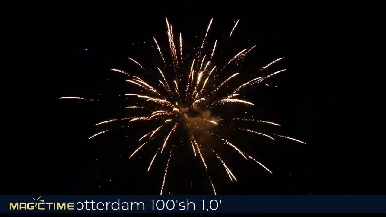 P7897 Rotterdam смотреть онлайн