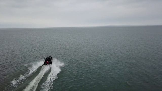 The Starcraft STX 2050 Multi-Species Fishing Boat смотреть онлайн