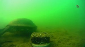 Поклевка на КЛАССИЧЕСКИЙ МАКУШАТНИК. Краткая схема снасти.underwater, Fishing Рыбалка- как вижу её Я