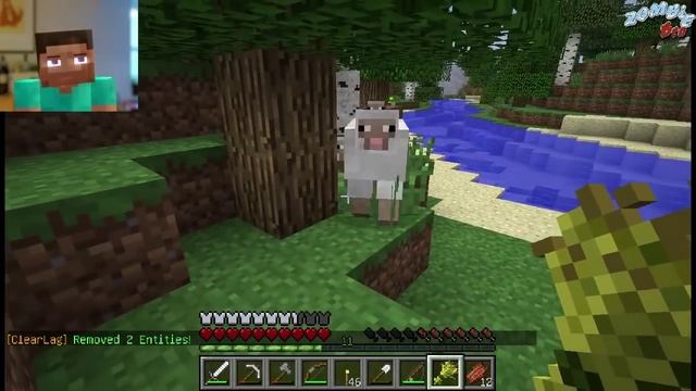 Майнкрафт тупые овцы, майнкрафт как приманить овцу, Обучение как играть в minecraft 11 смотреть онлайн