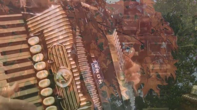 ОСЕННИЕ СНЫ. ДУЭТ! смотреть онлайн