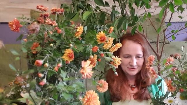 Каменный цветок смотреть онлайн