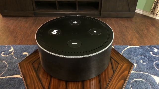 Echo MegaDot смотреть онлайн