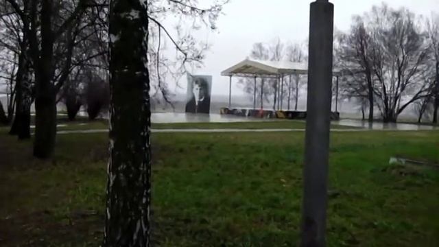 С Есенин: Гой ты,Русь моя родная ! смотреть онлайн