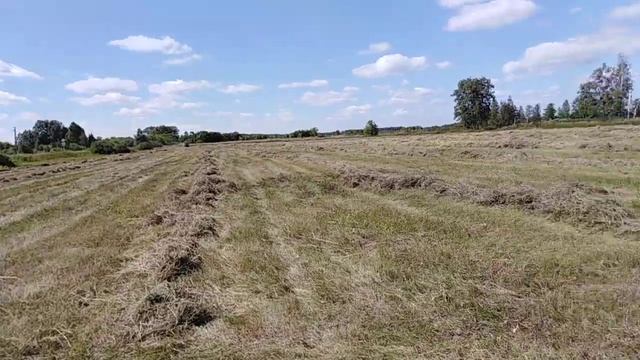 Друг мне рулонит сено смотреть онлайн